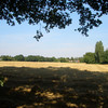 Neale’s Field from How Lane, let by the CVPS as farming land since 1977