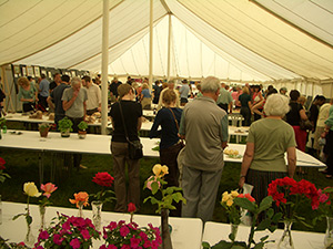The main exhibition marquee at the Chipstead Village Fair