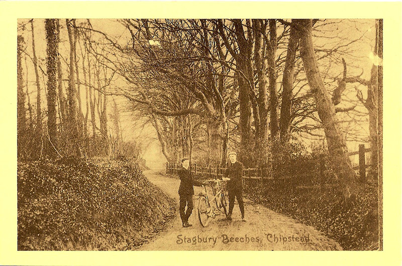 Cyclists in Stagbury Beeches, now Hazlewood Lane, circa 1910